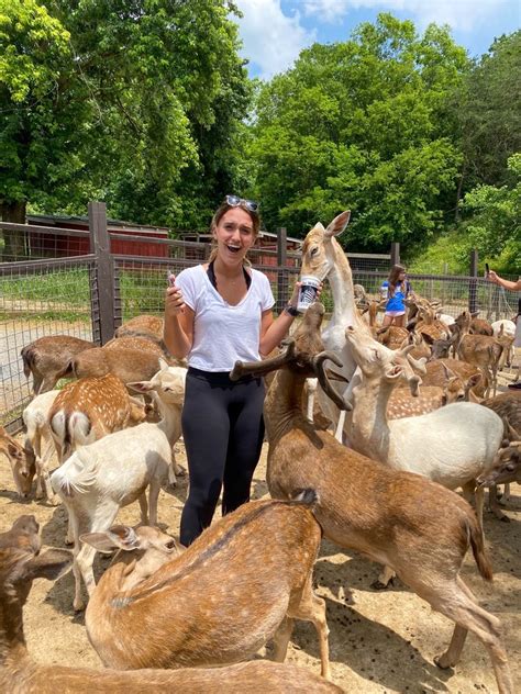 Smoky mountain deer farm - Smoky Mountain Deer Farm & Exotic Petting Zoo: Shaded mountain trail - See 1,425 traveler reviews, 1,336 candid photos, and great deals for Sevierville, TN, at Tripadvisor.